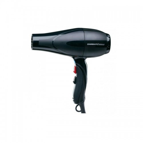 GammaPiu Hair Dryer 2001R
